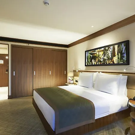 Divan 5* Adana